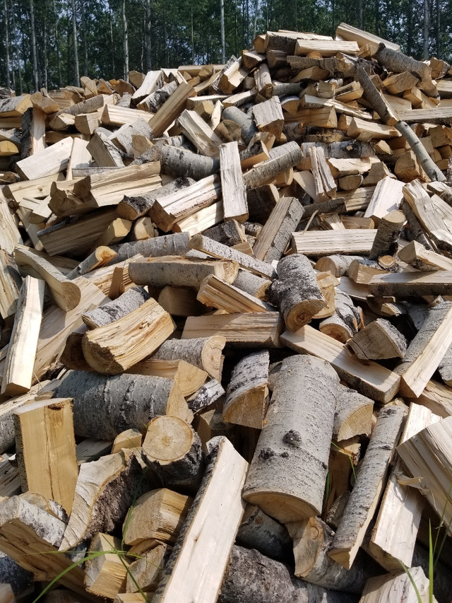 Firewood Poplar (seasoned)  in Other in Dawson Creek - Image 2