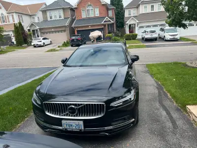 Looking to transfer the lease of my 2023 Volvo S90. Great monthly rate as result of employee discoun...