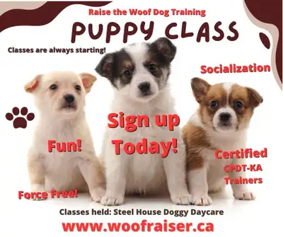 PUPPY CLASS. Starting February 22nd , View more