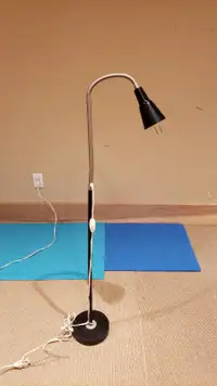 Flexible Floor Lamp. 47” high.