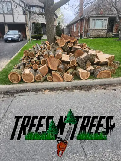 TREES N TREES CONTACT US NOW OPEN 24HRS / 647-700-4447, View more