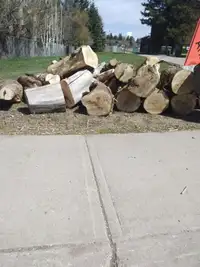 Free Firewood for Pick Up