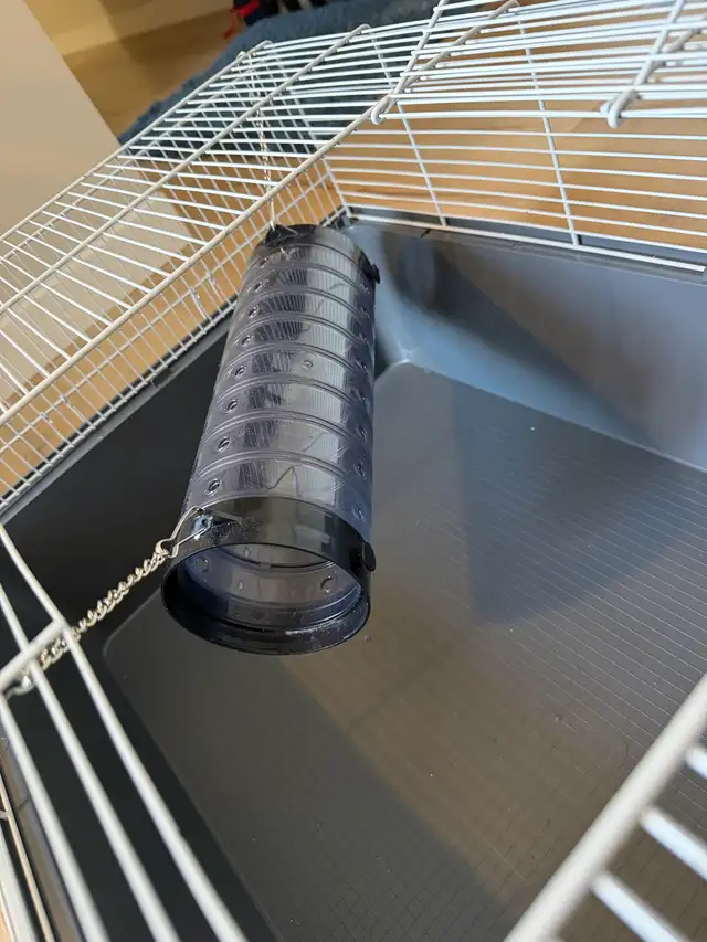 Ensemble cage à rongeurs (équipement complet) in Accessories in St-Georges-de-Beauce - Image 6