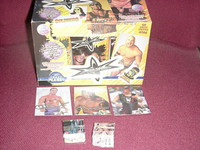 15 assorted WCW stickers from 1999 Crazy Planet boxes Flair Hart
