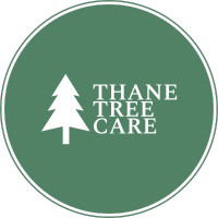 Thane Tree Care-Professional Stump grinding and tree care!