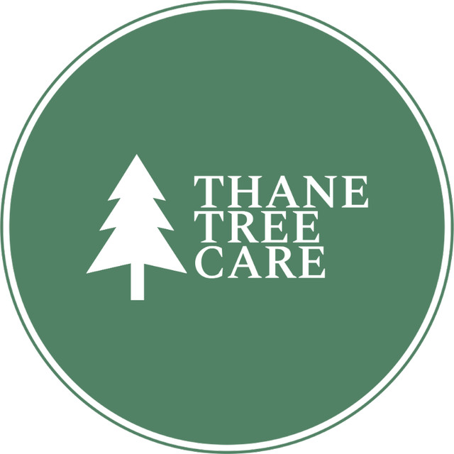 Thane Tree Care-Professional Stump grinding and tree care! in Lawn, Tree Maintenance & Eavestrough in Winnipeg