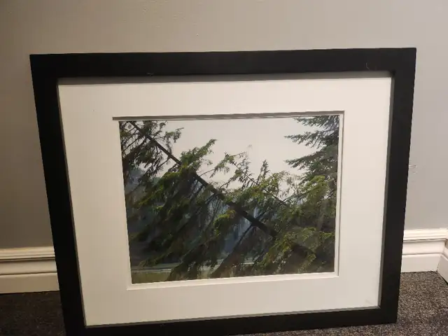 Beautiful Framed Nature Pictures - High-Quality Frames!63006661011713122