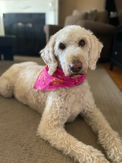 - This rental is for ONE person only - No lease - Available January 1st 2026 (not sooner) - Minimum...