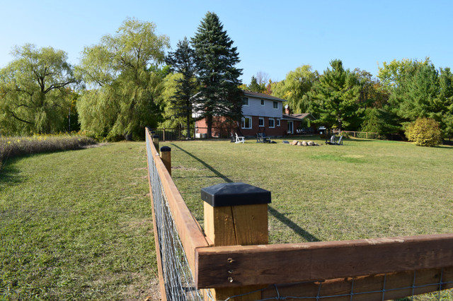 Puppy Dog Fence in Decks & Fences in Peterborough - Image 3