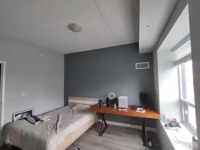 Spacious 1 private room in a 2 bed 2 bath apartment Walk in Closet and attached washroom Furnished w...