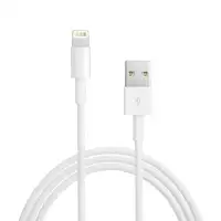 Apple USB to Lightning Cable for iPhone, iPod and iPad