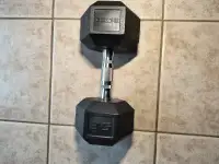 Rubber Hex Dumbbell 35lbs