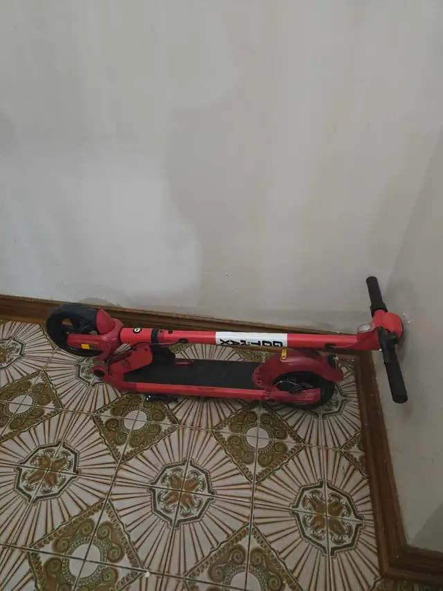 Electric Scooter