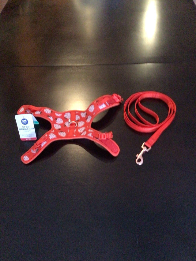 Kitten Vest, Harness and Leash in Accessories in Charlottetown