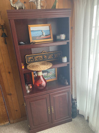 Bookshelf and cupboard