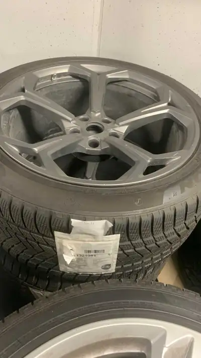 Factory set with TPMS Lamborghini Urus 22 inch tires on FACTORY RIMS Compare at over 20K