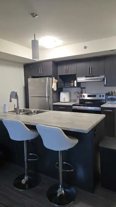 1 Bed 1 Bath Apartment