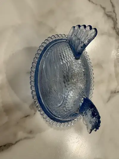 Indiana hen on a nest lot, View more