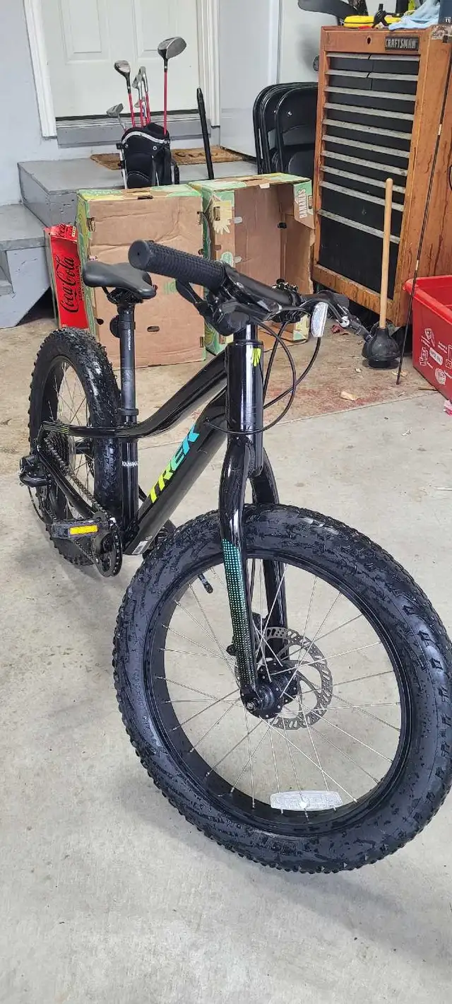 Trek Bike Roscoe 20 inch in Kids in Windsor Region - Image 3
