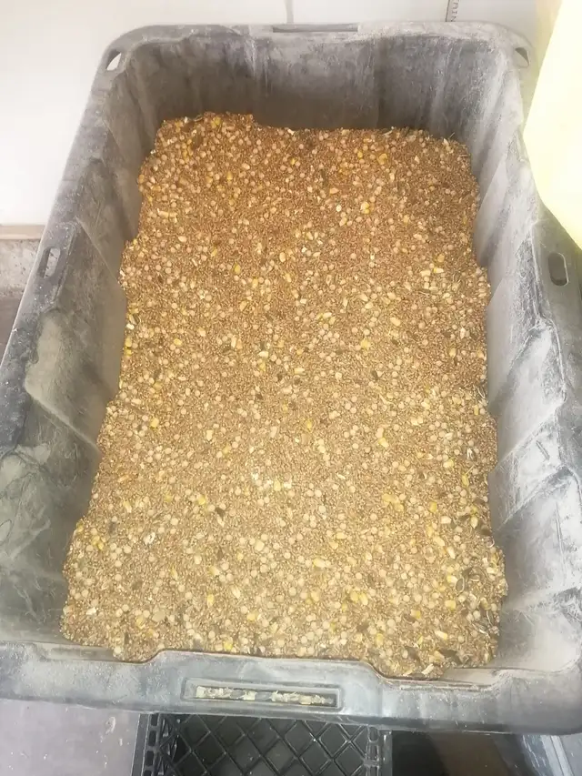 Mix Feed , Wheat & Peas in Animal & Pet Services in Edmonton - Image 4