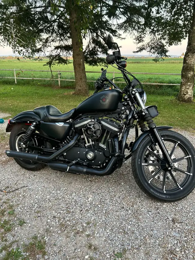 2021 HD Sportster 883 Iron - only 1,140km! in Street, Cruisers & Choppers in Barrie - Image 3
