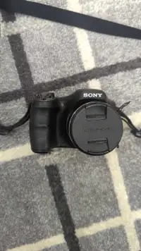 Sony Cyber-shot DSC-H200 20.1 MP Bridge Camera 26x Optical Zoom 