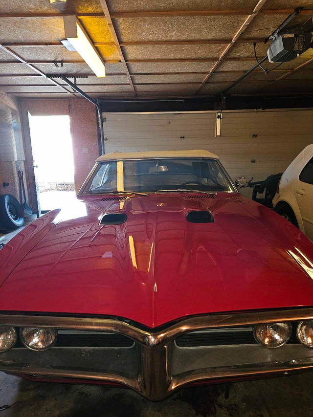 1967 Firebird Convertible 326 cu in (5.3 L) in Classic Cars in Edmonton - Image 2