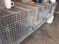 Rabbit cage & nest boxes
