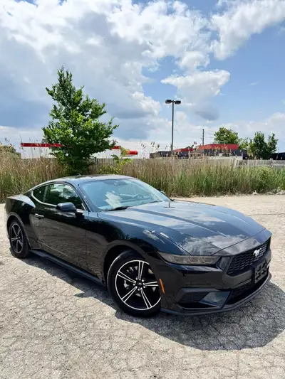 sleek 2025 Ford Mustang EcoBoost, new condition. You won't find a scratch on it. Here are some addit...