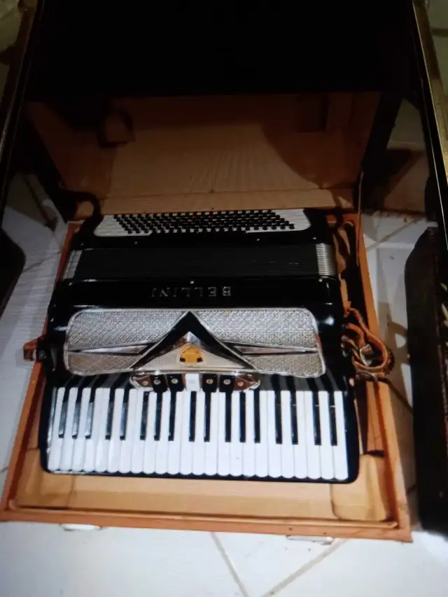 vintage musical instruments in Other in Markham / York Region - Image 7