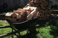 Premium firewood 20$ a wheelbarrow