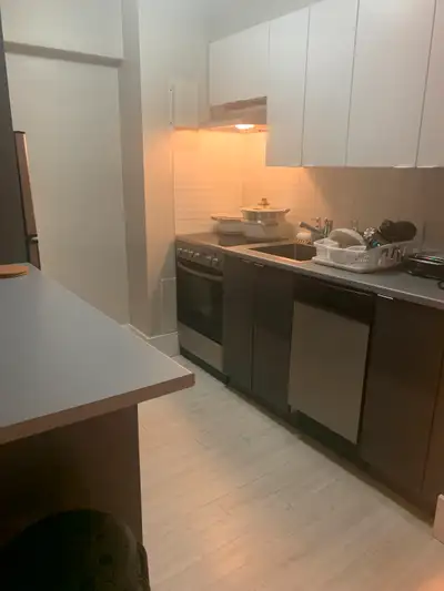 pictures of the unit