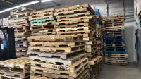 Huge Discount: 48 x 40 Pallets for Just $5 in Scarborough!