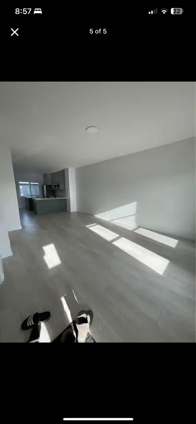 Master BD available in Quadreplex