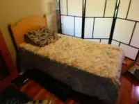free- single bed