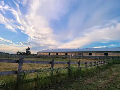 BR Equestrian has full service boarding available! Located 15 mins from Milton and Guelph with easy...