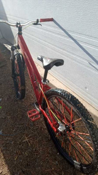 Specialized dirt jumper