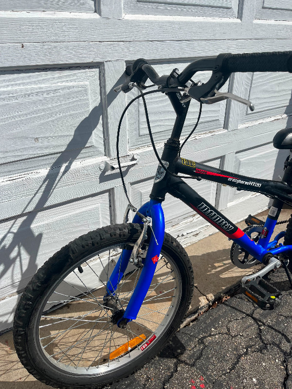 Bicycle : Blue, 20 inch wheels in Kids in Mississauga / Peel Region - Image 3