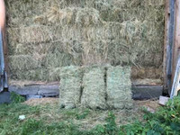 Hay for sale