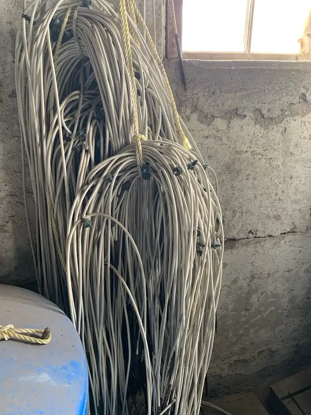 Hop Wire in Fishing, Camping & Outdoors in Norfolk County - Image 2