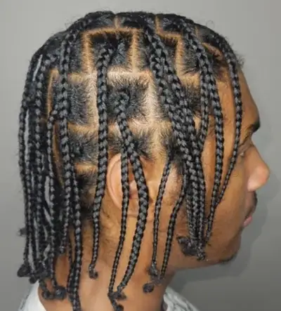 Mini Braids/Cornrows/Twists - Mobile Hair Stylist, View more