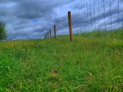 Our company, with over 15 years of experience, provides top-notch fencing services. Our skilled crew...