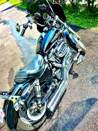 2012 Harley Davidson Sportster Custom 1200