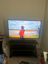 65” Samsung TV with Stand
