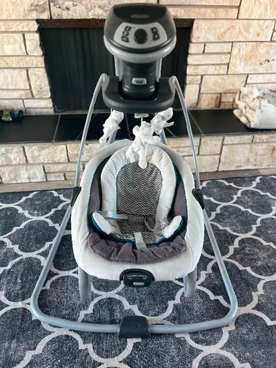 Excellent condition swing. 3 swing positions along with portable seat option. Smoke free, dog friend...