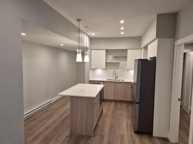 1 Bedroom Basement Suite