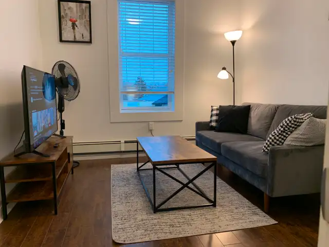 AFFORDABLE FULLY FURNISHED RENTALS63295984529667120