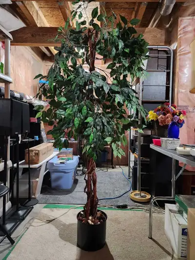 Artificial Ficus Tree, View more