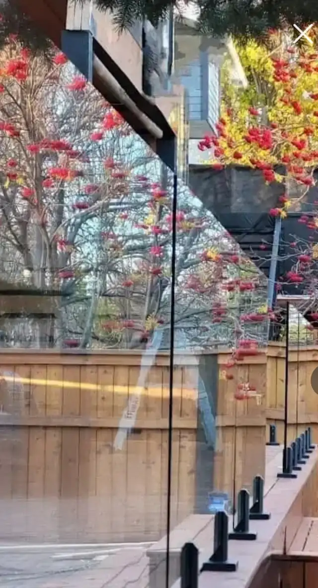 FRAMELESS GLASS RAILINGS in Decks & Fences in City of Toronto - Image 8