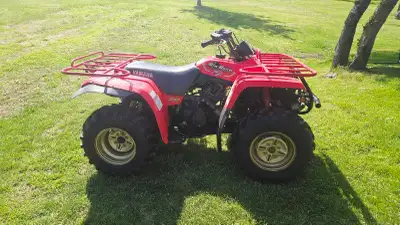 350 Big Bear, 2400km comes with ownership no issues. Call or text 613-885-5562